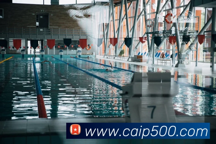 App Interface Preview